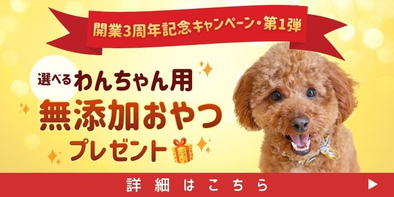 Dog Villa Izumisano プラン1