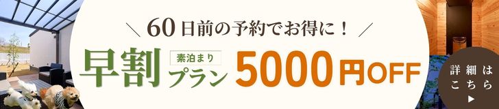 おすすめプラン