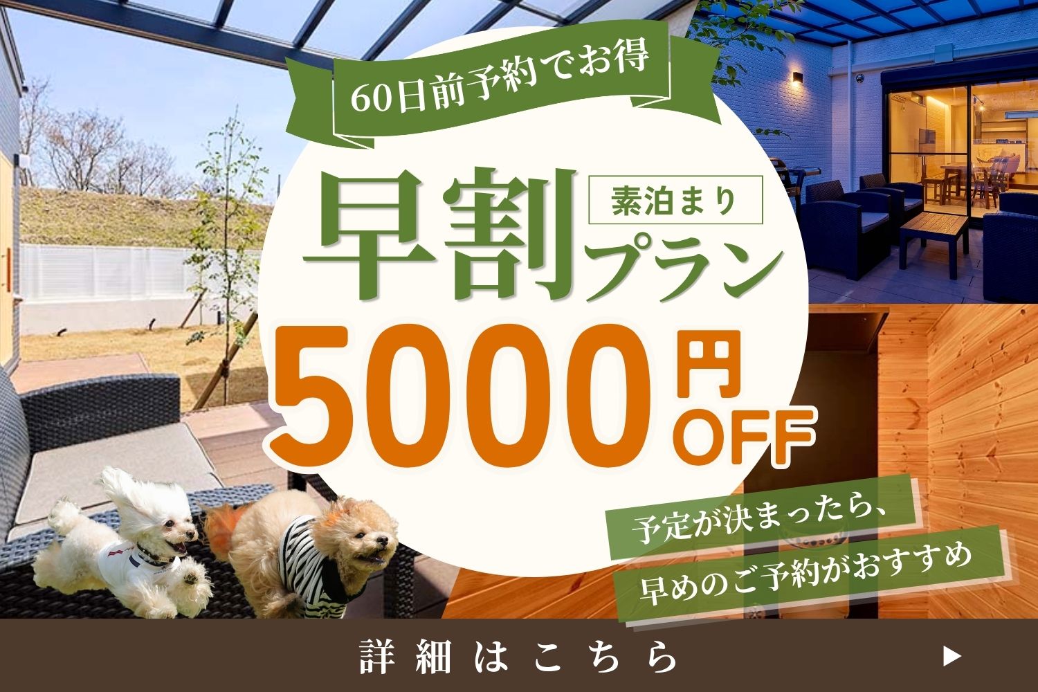 おすすめプラン